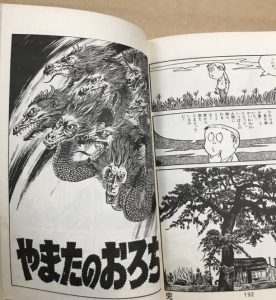 日常なのか 非日常なのか はたまた夢かうつつか幻か 水木しげる珠玉の短編群サンコミックス 死者の招き やまたのおろち マンバ